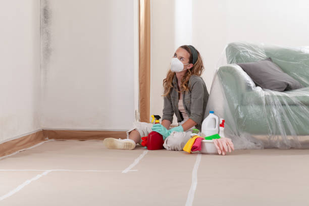 Reliable Mold Cleanup contractor in Ashland, NJ by Cheap Mold Removal
